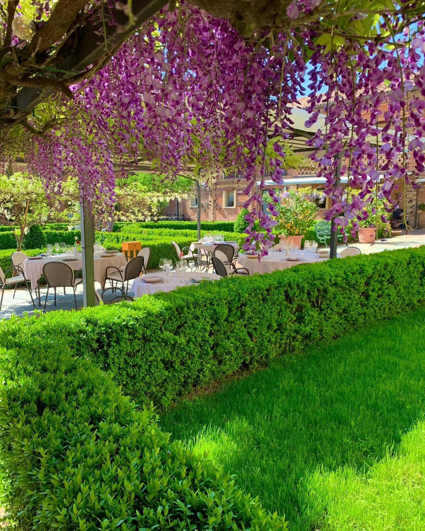 Hotel Relais Castello Di Razzano à Alfiano Natta Extérieur photo